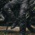 200702_ZAL589776.jpg