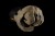 00P_4621_238_details_1_4621-238_5_1757514422.jpg