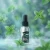 jony_mint_lifestyle_02.webp